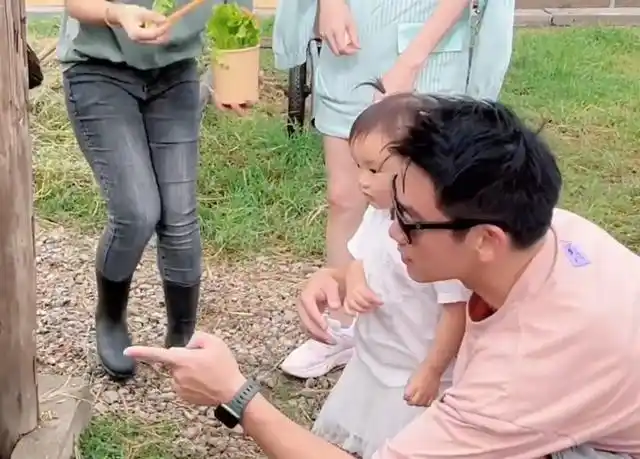 郑恺苗苗带女儿逛农场,女儿近照颜值好高,苗苗妹妹负责拍视频