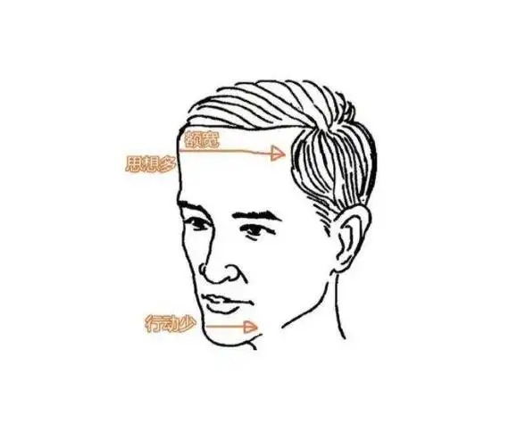 男面相算命图解大全,额头骨头凸起面相分析