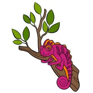 红色的变色龙图片