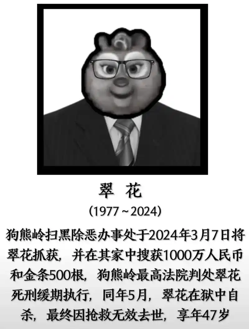 至此狗熊岭熊大黑恶势力集团全部落网#严惩黑恶势力 #人民的名 - 抖音