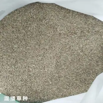 混播草籽