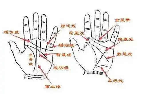 在手相中,有一种掌纹被称为"通天纹",据说有此掌纹的人具有沟通天地的