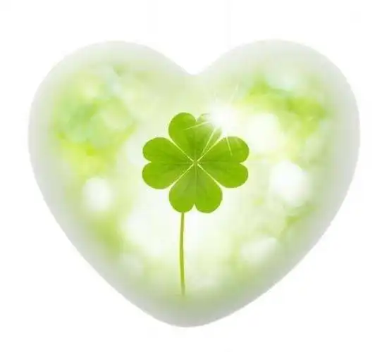 悠悠幸运草 脉脉阳光情 ——永春县最美教师郑晓芸