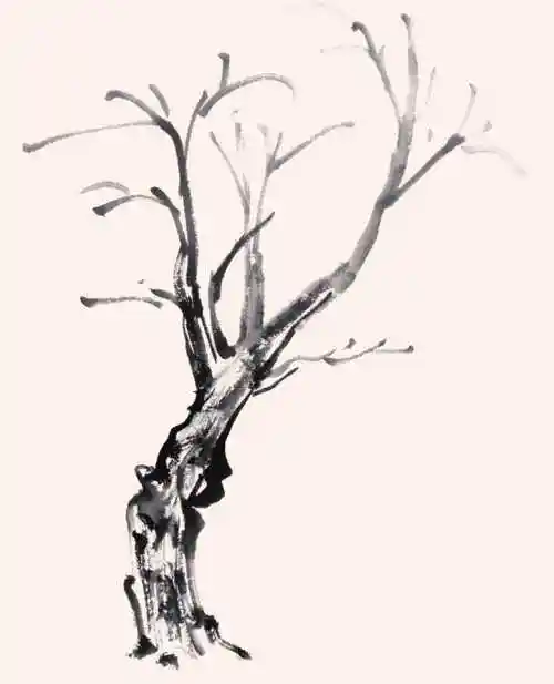 笔触要灵活自然,并配合擦笔,使树干更有厚重感.