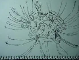 彼岸花简笔画古风手绘步骤