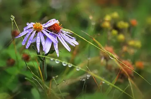 滴滴清露小时光