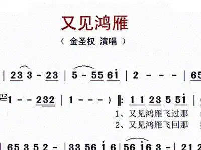 又见鸿雁 秋叶起舞版 金圣权 歌谱 简谱