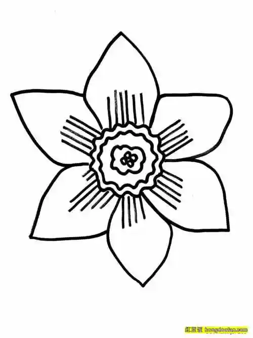 11张春天的花朵卡通简笔画!小雏菊郁金香水仙花樱花手绘简笔画 | 红豆