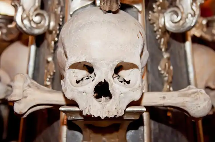 骷髅头图片图片