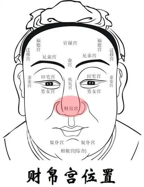 不同部位面相痣解析(面相十二宫指的人体的十二个部位)
