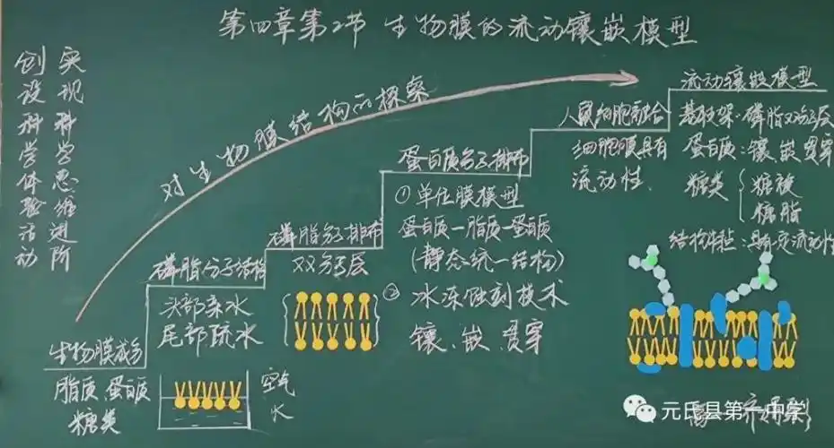 "最美"板书!元氏一中教师板书成果展