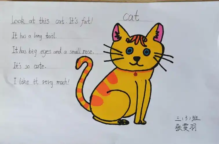 三年级英语"我爱动物大家秀"综合实践活动展