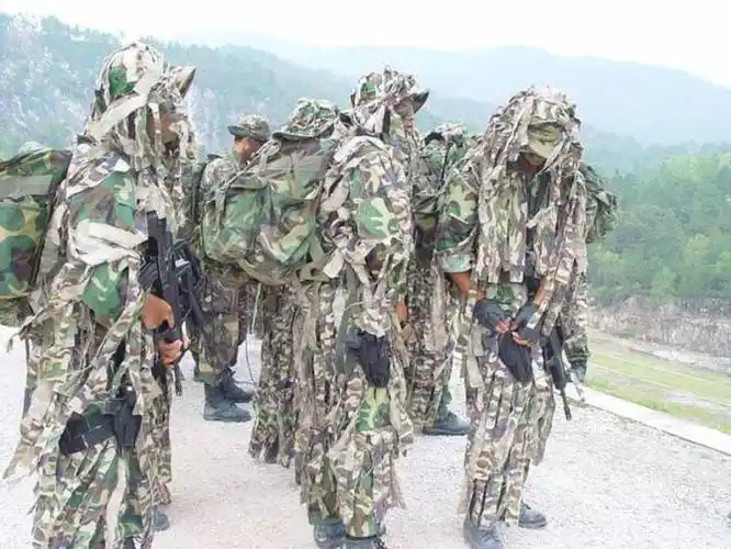 中国七大特种部队