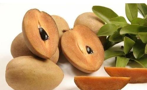 你见过人心果吗?名字听起来瘆人,却能防癌