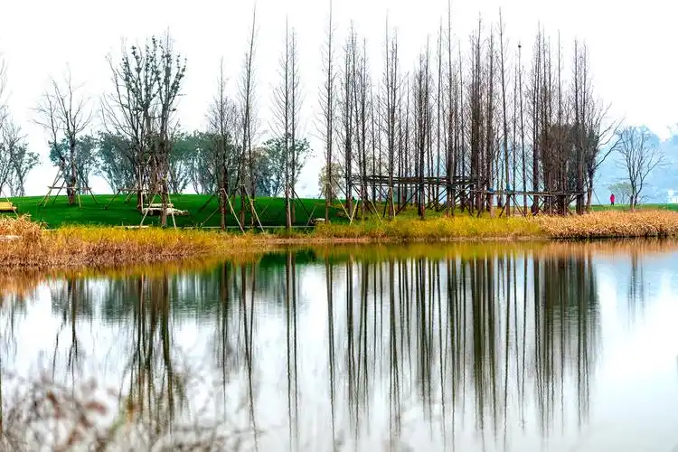 重庆南岸广阳岛 - 陈哥307 - 图虫