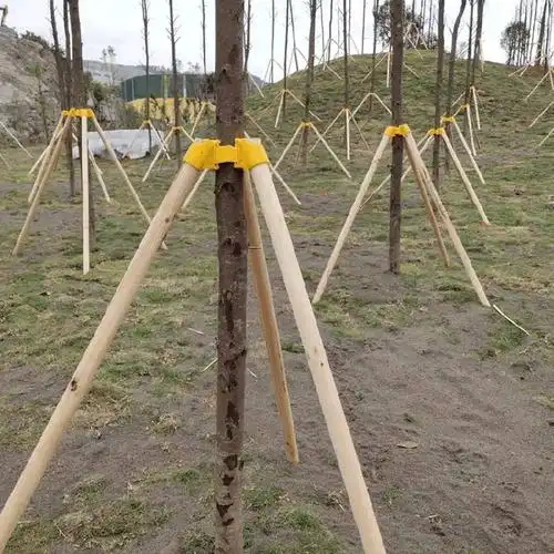 大树支撑架木质三角支撑架信誉保证