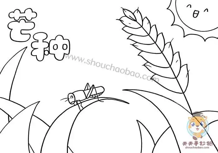 二十四节气芒种手抄报怎么画24节气芒种手抄报简单又漂亮模板