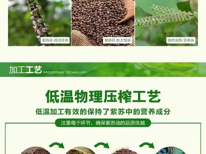 黑旦新鲜纯荏油 甘肃陇香孕妇儿童月子油紫苏籽食用油1000ml