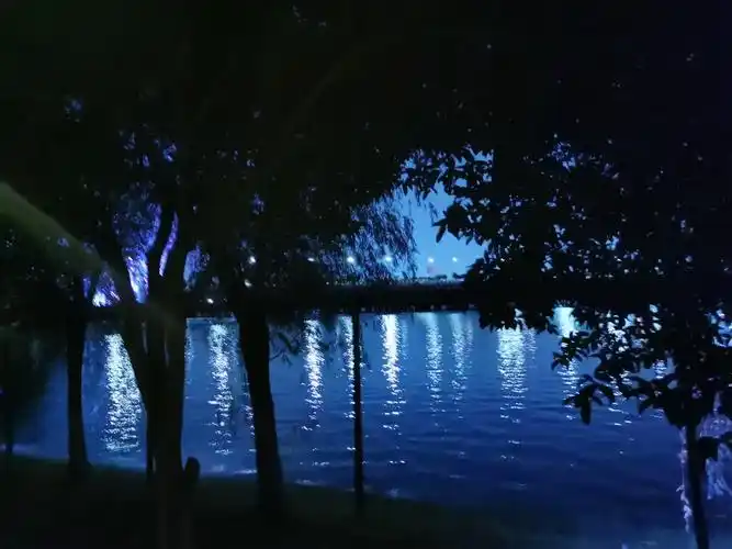 桥梁的灯影落在湖面上