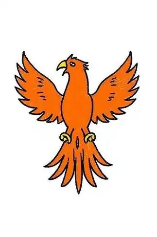 🔥凤凰简笔画✨简单又霸气💪