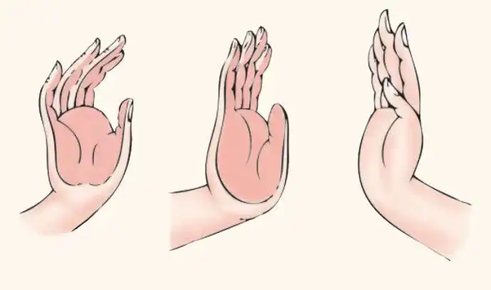 【施无畏印】又称护法印,又是也被解释为施愿印的一种.