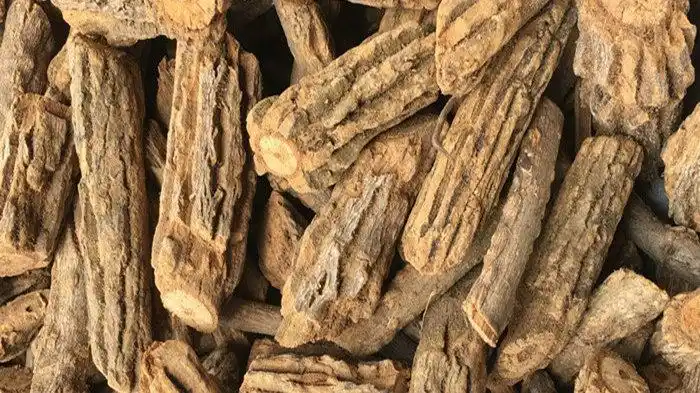 钩吻- 中药大全