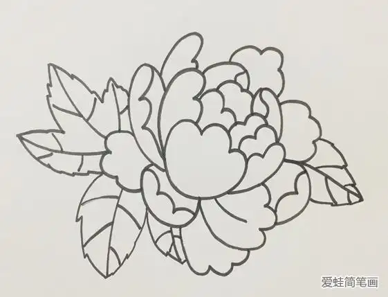牡丹花简笔画