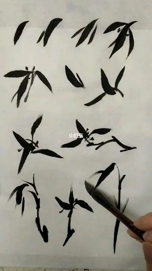 兰花步骤画法简笔画中国画水墨画