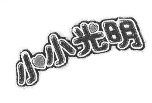 em>小小 /em> em>光明 /em>