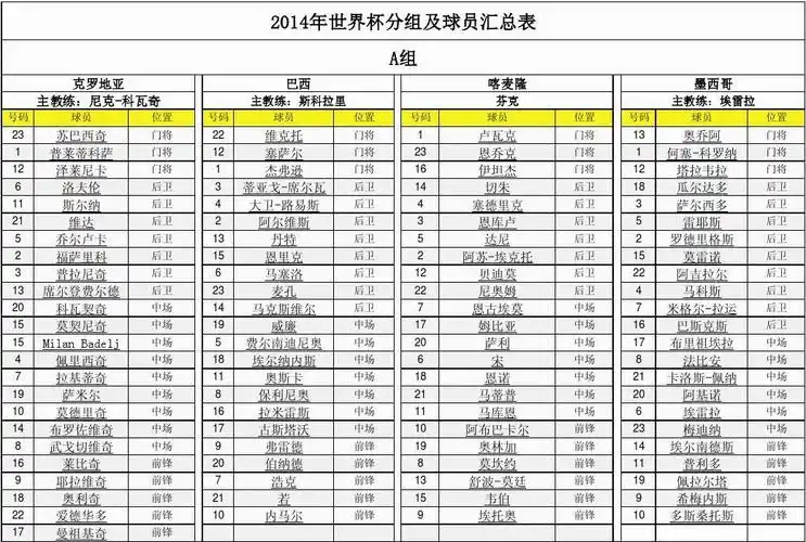 2014年巴西世界杯球员名单(带球衣号)