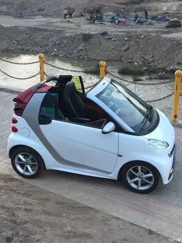 10t敞篷smart版主留情