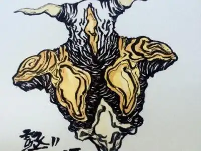 怪兽芝顿简笔画超级杰顿的简笔画怪兽芝顿简笔画步骤看过该简笔画的