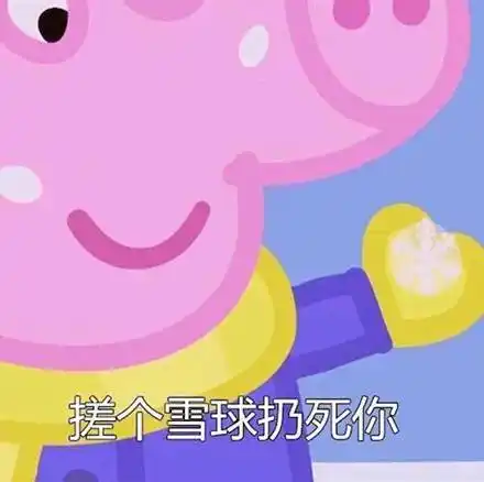 搓个雪球扔死你小猪佩奇佩奇小猪雪球表情