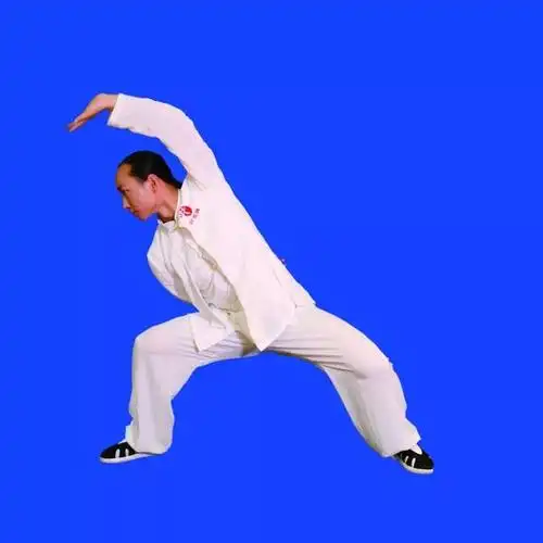 【视频图文详解】强身健体第二波《武当九式太极拳》128图详解