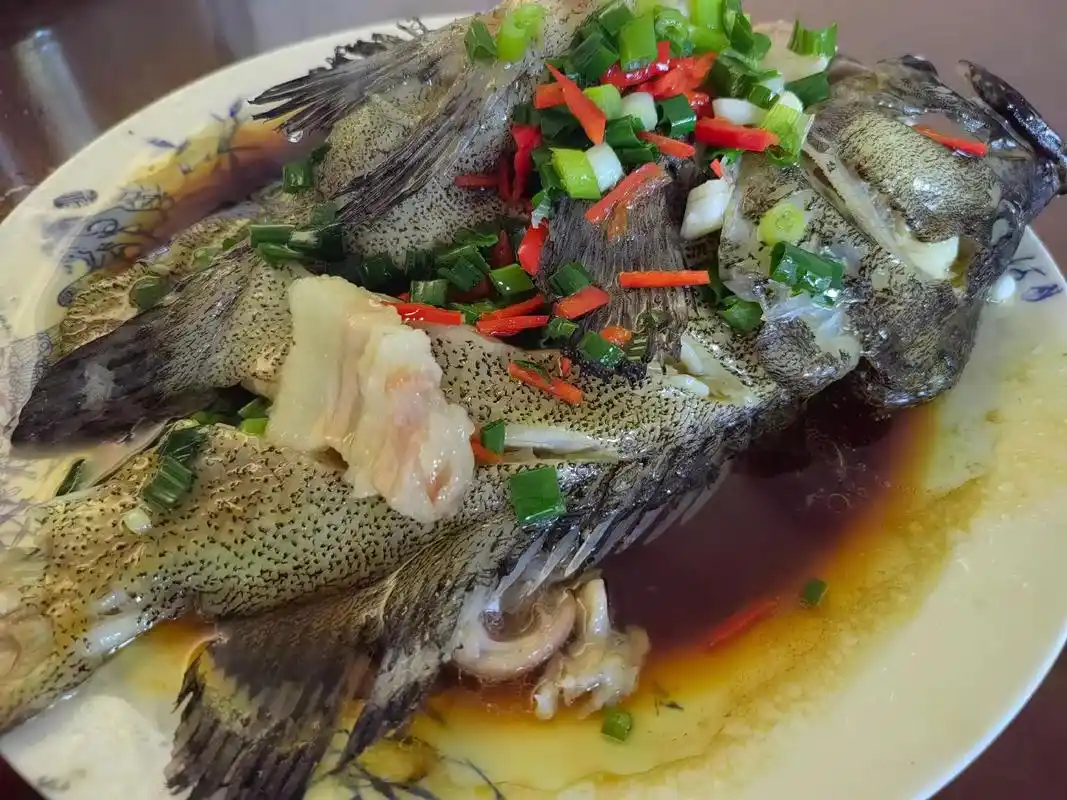 108道菜之076:清蒸虎斑鱼.清蒸虎斑鱼食材: 老虎斑1 - 抖音
