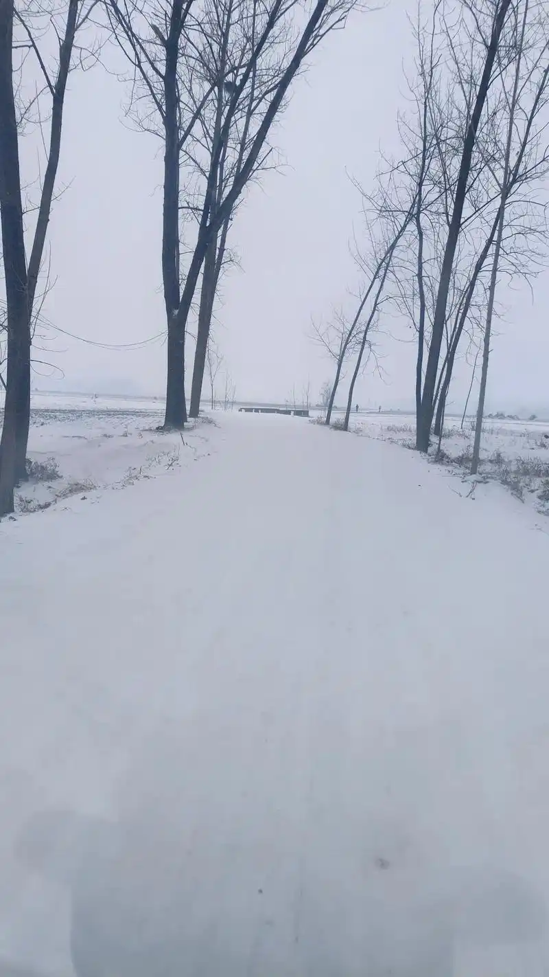 黄昏的雪,深切切的,好像有千丝万缕的情绪似的,又像海水一般汹