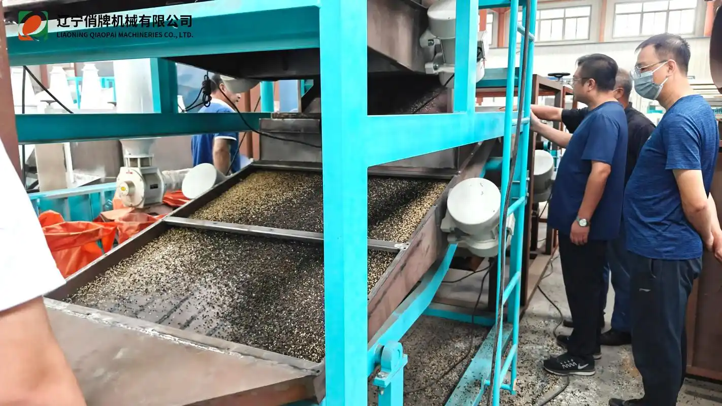 辽宁俏牌 荞麦脱壳设备试验 - 抖音