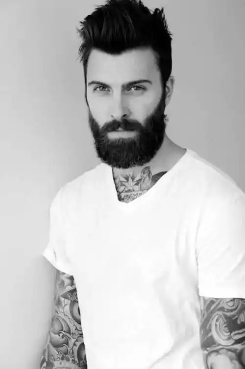 胡须男大热的男士大胡子