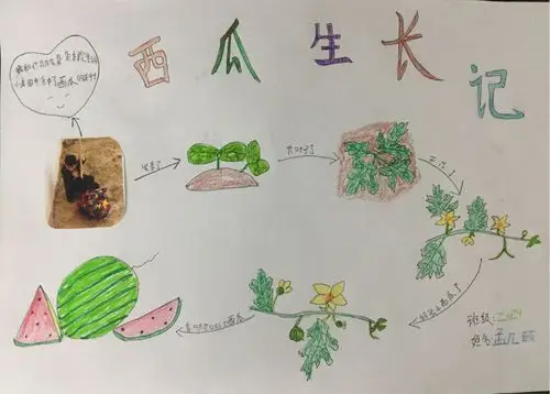 "清明里的语文" --聊城市实验小学"真趣"系列实践作业