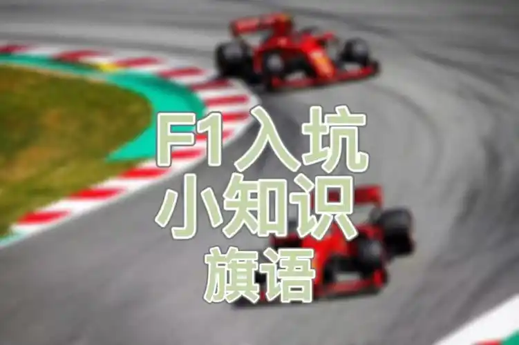 f1入坑你不知道的那些旗语知识