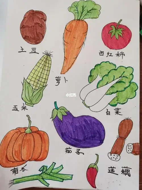 春天的蔬菜简笔画彩色