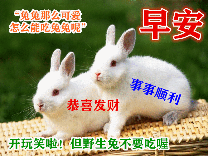 原创星期一微信朋友圈早上好问候图片新的一天发朋友圈早安心情说说