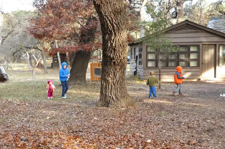 back to the yard to find things to do.