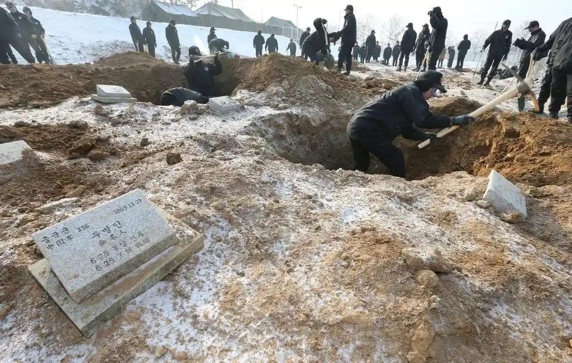 上热门 #挖掘在韩志愿军遗骸现场  致敬先辈 我们都盼着你 - 抖音