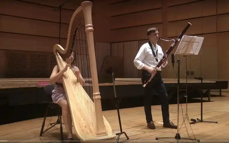 巴松/大管 antonio vivaldi sonata for bassoon and harp in a minor