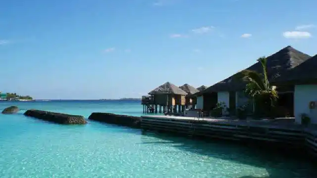 4分 (21条点评) 5 皇家岛(royalisland)是一座四星岛屿,位于马尔代夫