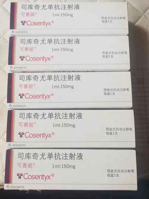 即将开始的可善挺