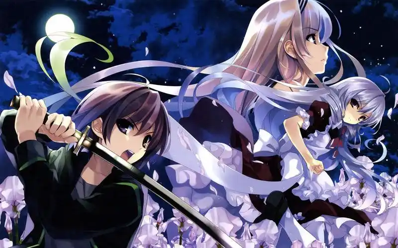 二四上下有好码