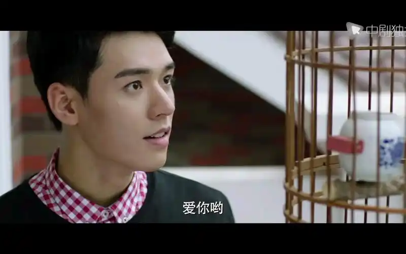 腐剧盛势袁纵开始自己的计划啦先把鹩哥寄养到夏耀这里