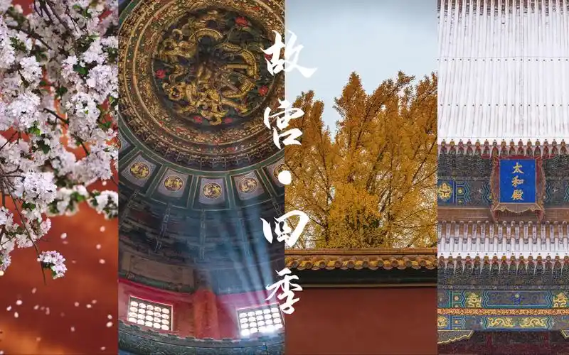 《故宫·四季》——我的2021年度总结_哔哩哔哩_bilibili